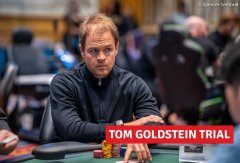 Andrew Robl出庭作证，称其曾指导Tom Goldstein赢得5000万美元