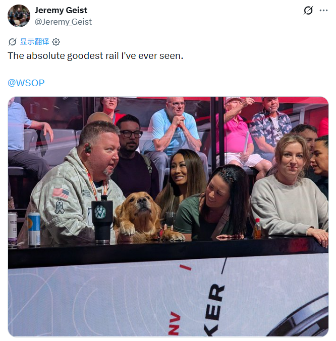 1781761409953917.png 带着金毛打WSOP?“没有它,我可能会死在牌桌上”
