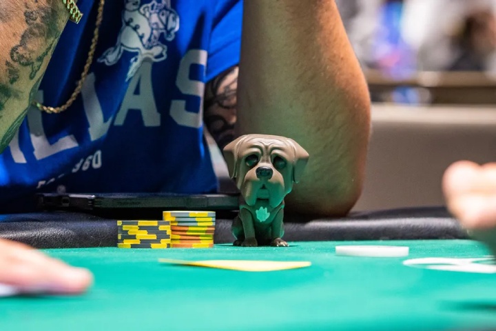 WSOP战绩不佳？练习这5项技能，为明年夏天做好准备